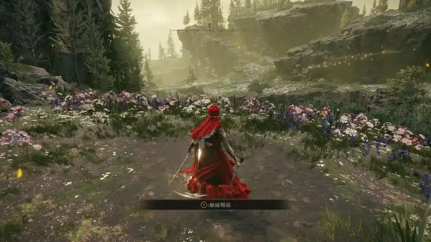 Elden Ring low damage build example showing stat screen